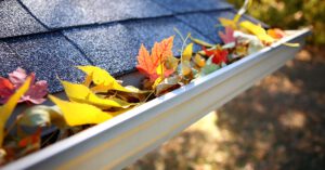 Gutter Cleaning