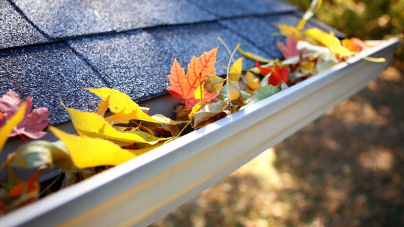 Why Gutter Cleaning Is Important